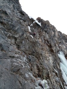 L1 Persévérance L1 Persévérance