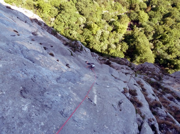 Cactus au mont Peney, L4 : 7a