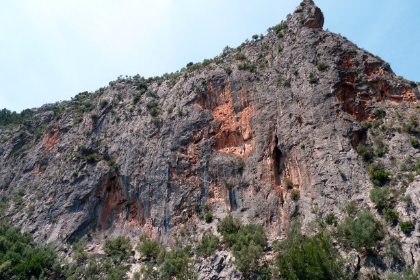 Sa Gubia, Parets del coloms