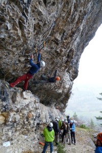 Les qualifications du samedi 10 novembre 2012