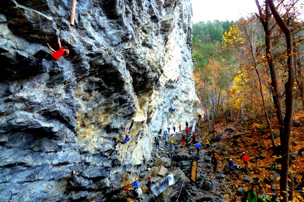 Le Zoo pendant le DTS Tour 2012